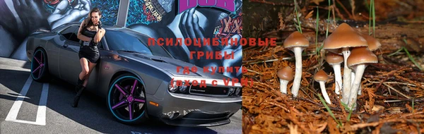 кокаин колумбия Баксан